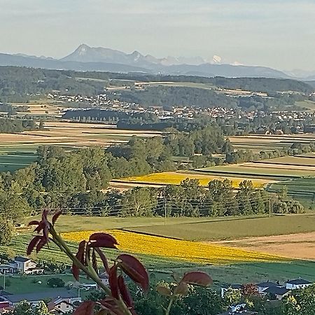 Bed and Breakfast Swiss Borzoi House Vully-les-Lacs Екстер'єр фото