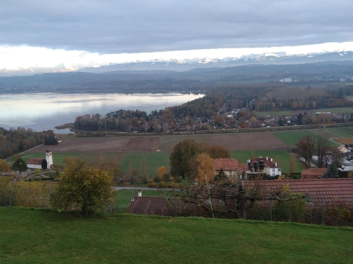 Bed and Breakfast Swiss Borzoi House Vully-les-Lacs Екстер'єр фото