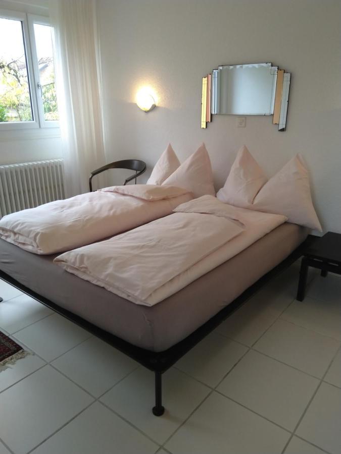Bed and Breakfast Swiss Borzoi House Vully-les-Lacs Екстер'єр фото