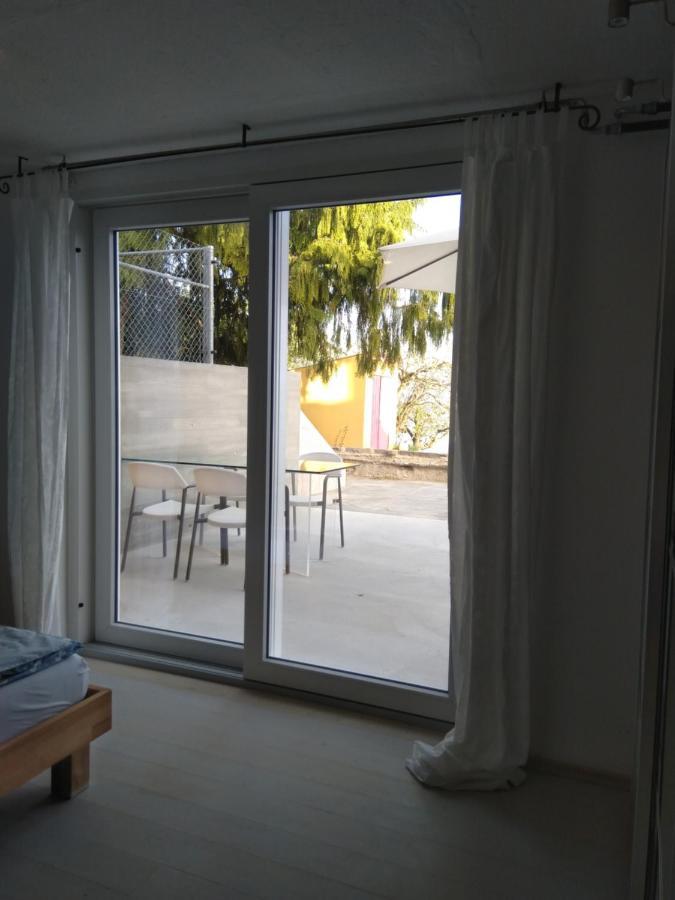 Bed and Breakfast Swiss Borzoi House Vully-les-Lacs Екстер'єр фото
