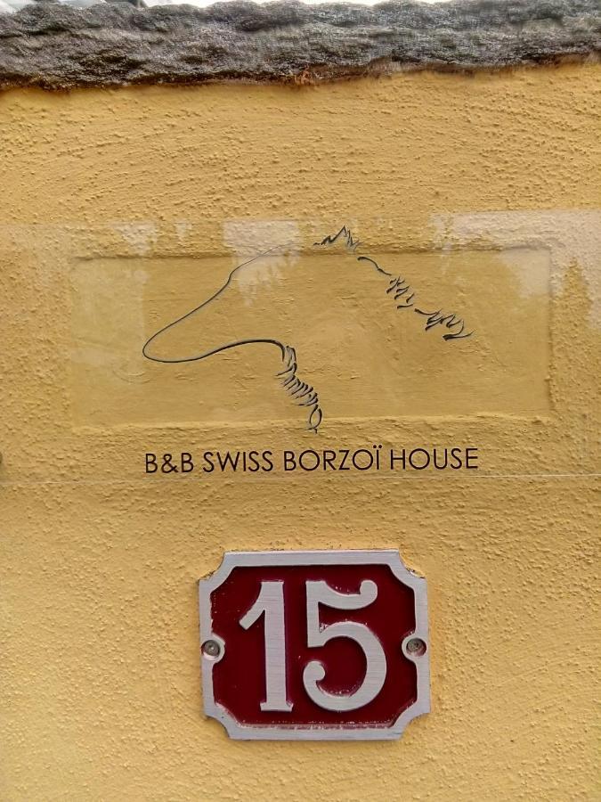 Bed and Breakfast Swiss Borzoi House Vully-les-Lacs Екстер'єр фото
