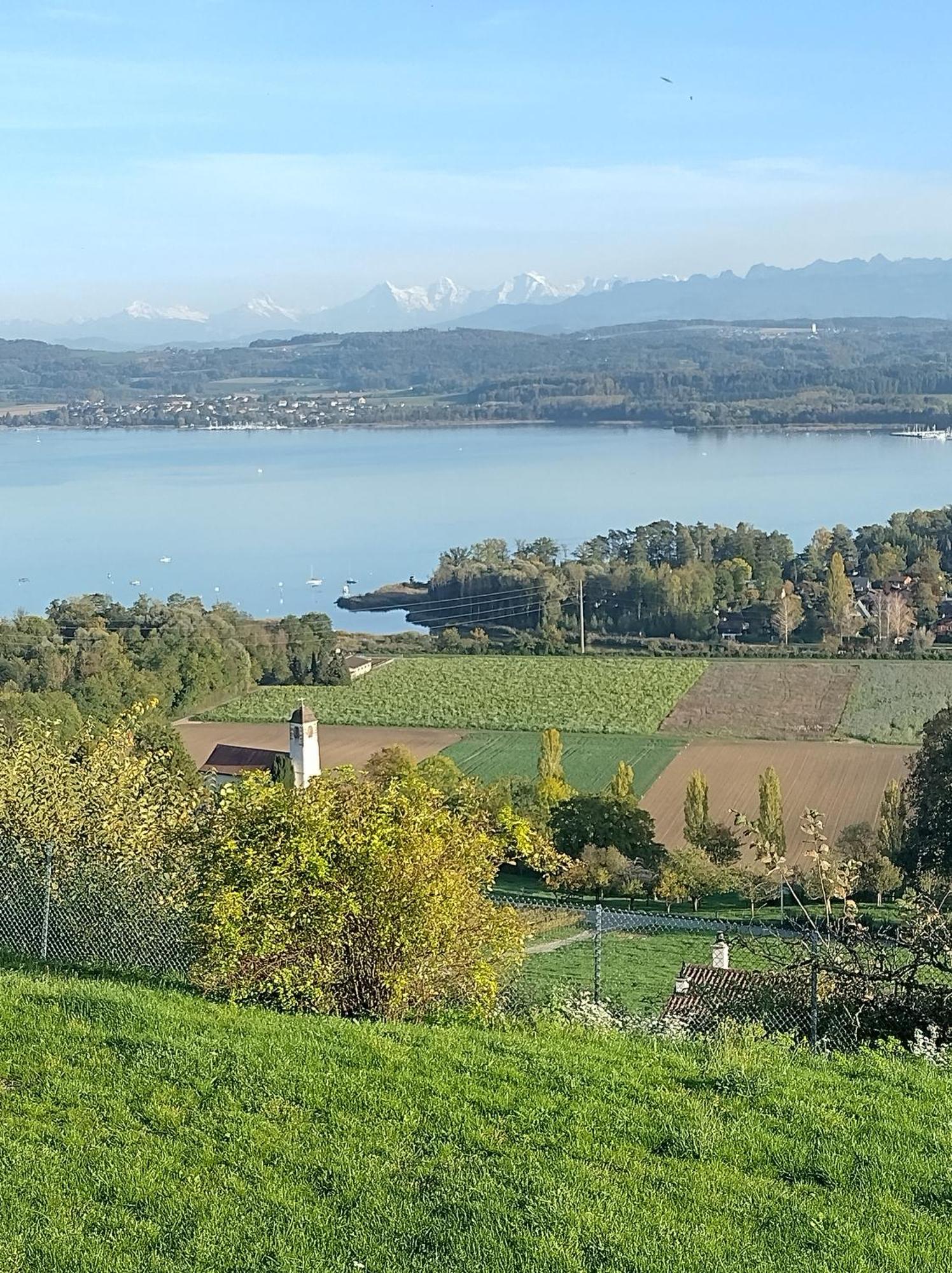 Bed and Breakfast Swiss Borzoi House Vully-les-Lacs Екстер'єр фото