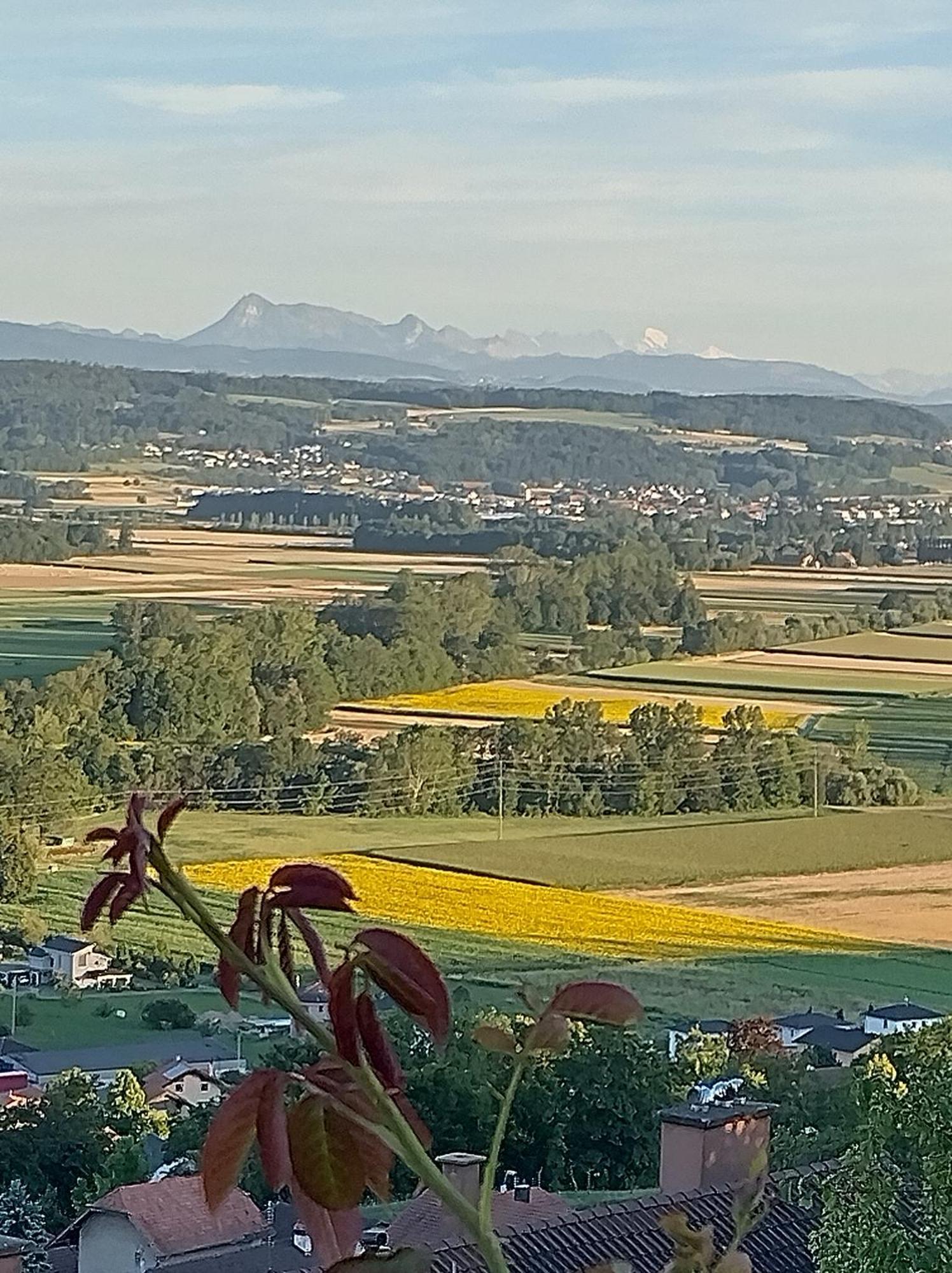 Bed and Breakfast Swiss Borzoi House Vully-les-Lacs Екстер'єр фото