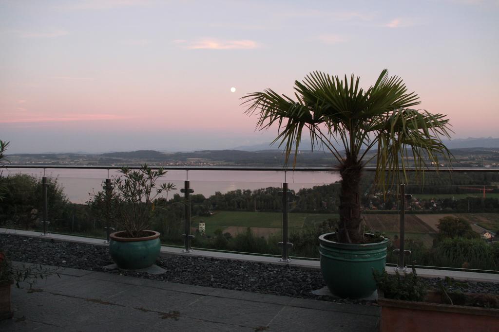Bed and Breakfast Swiss Borzoi House Vully-les-Lacs Номер фото