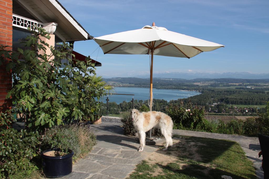 Bed and Breakfast Swiss Borzoi House Vully-les-Lacs Номер фото