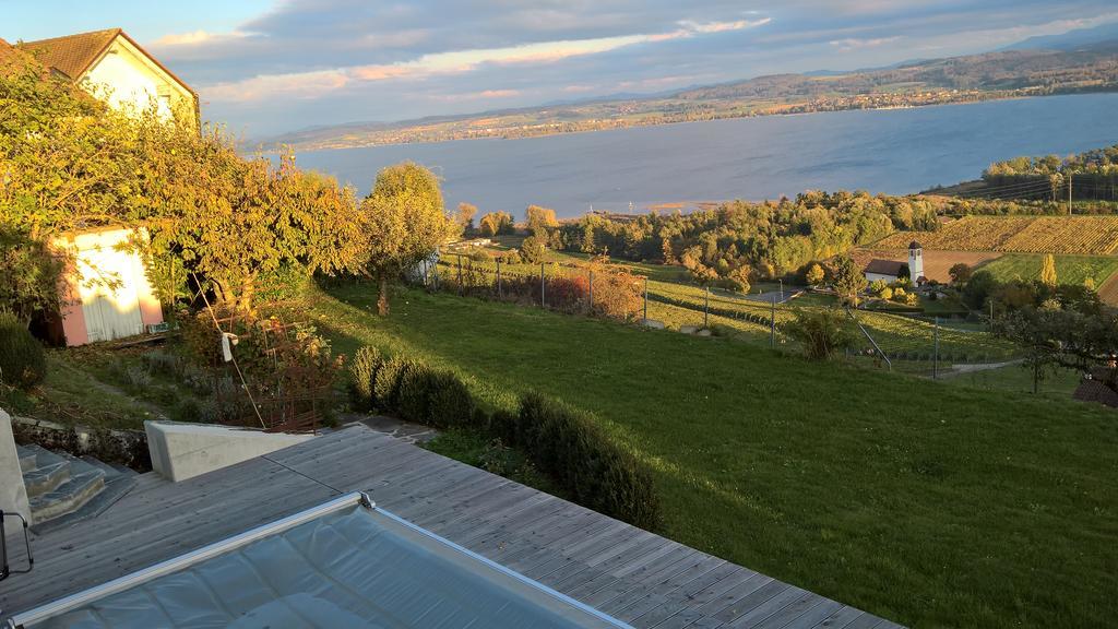 Bed and Breakfast Swiss Borzoi House Vully-les-Lacs Екстер'єр фото