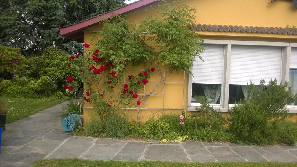 Bed and Breakfast Swiss Borzoi House Vully-les-Lacs Екстер'єр фото