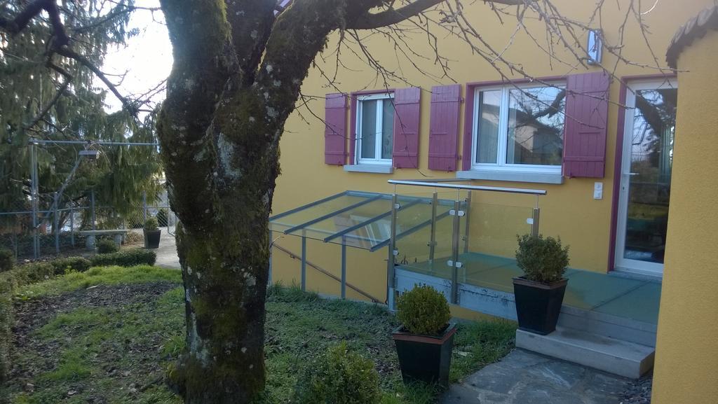 Bed and Breakfast Swiss Borzoi House Vully-les-Lacs Екстер'єр фото