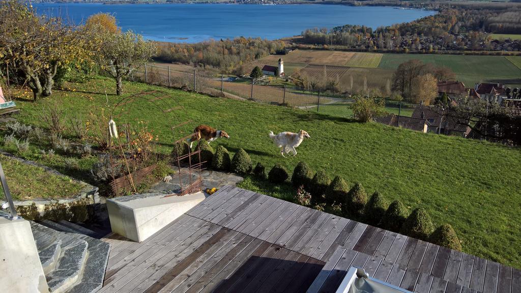 Bed and Breakfast Swiss Borzoi House Vully-les-Lacs Екстер'єр фото