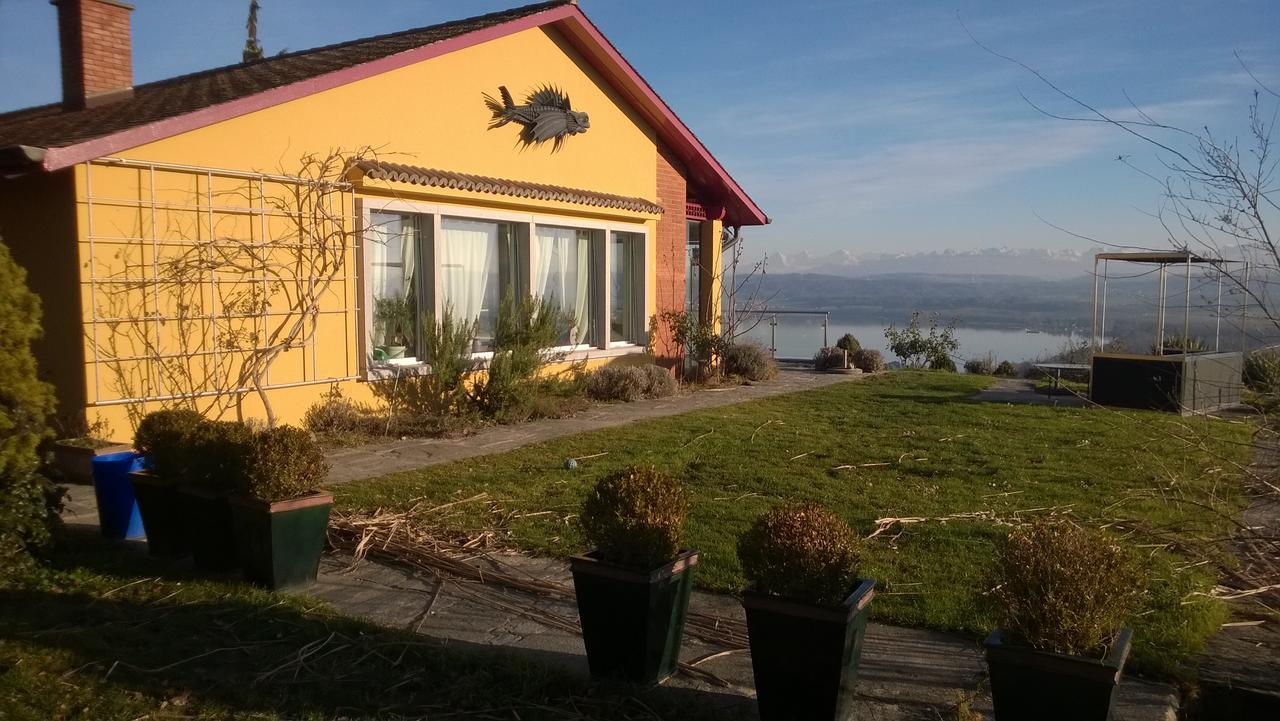Bed and Breakfast Swiss Borzoi House Vully-les-Lacs Екстер'єр фото