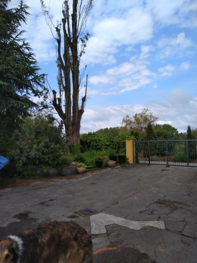 Bed and Breakfast Swiss Borzoi House Vully-les-Lacs Екстер'єр фото